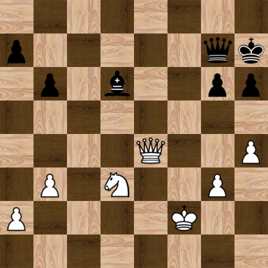 Botvinnik, Mikhail – Nenarokov, Vladimir Ivanovich