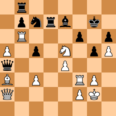 Petrosian, Tigran V – Van den Berg, Carel Benjamin